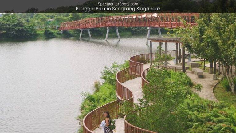 Punggol Park: Sengkang’s Perfect Picnic Spot Amidst Nature