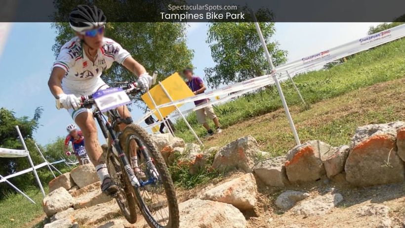 Tampines Bike Park_ Unleashing Thrills and Adventures in Singapore - spectacularspots.com image