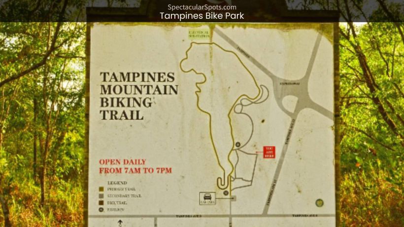 Tampines Bike Park_ Unleashing Thrills and Adventures in Singapore - spectacularspots.com img