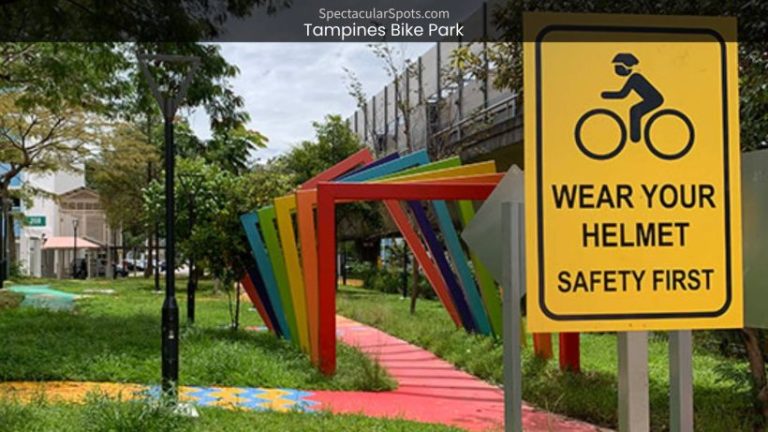 Tampines Bike Park: Unleashing Thrills and Adventures in Singapore