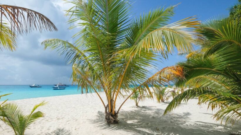 Fulidhoo Island Guide_ swim with sharks on a backpacker budget - spectacularspots.com