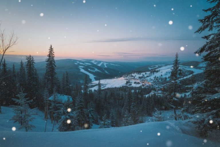 From Ice Sculptures to Snowy Forests: Discover China’s Harbin Photography Train for an Unforgettable Winter Travel Experience